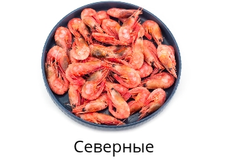 Северные креветки