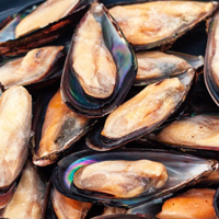 Морепродукты