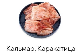 Кальмары, каракатица