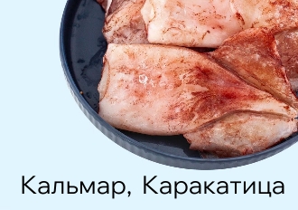 Кальмары, каракатица