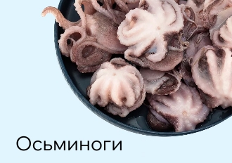 Осьминоги