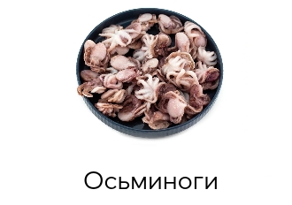Осьминоги