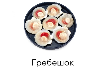 Морской Гребешок